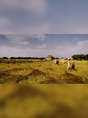 gallery-image-item-5