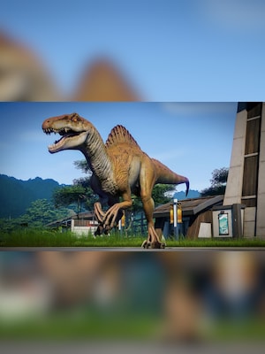 gallery-image-item-0