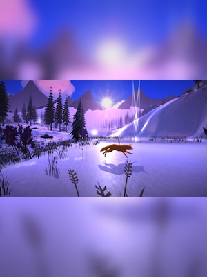 gallery-image-item-1