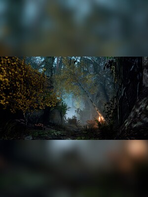 gallery-image-item-2