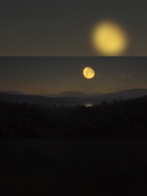 gallery-image-item-4