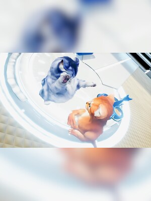 gallery-image-item-1