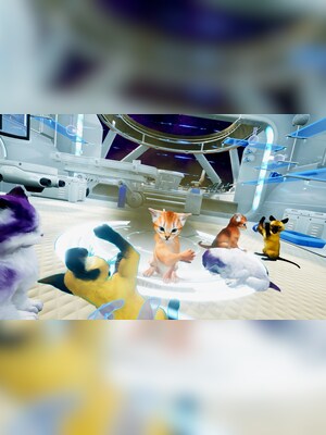 gallery-image-item-2