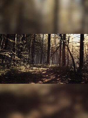 gallery-image-item-5