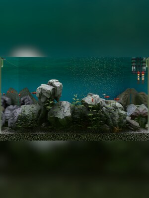 gallery-image-item-2