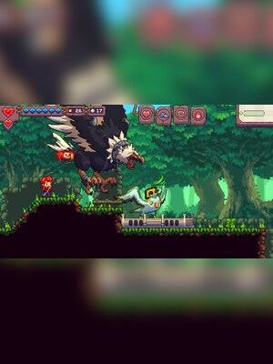 gallery-image-item-2