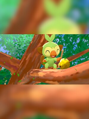 gallery-image-item-4