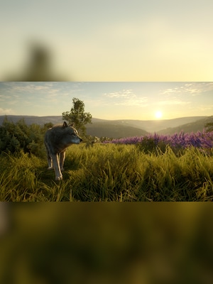 gallery-image-item-1