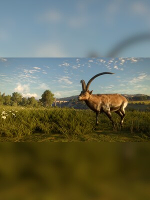 gallery-image-item-2