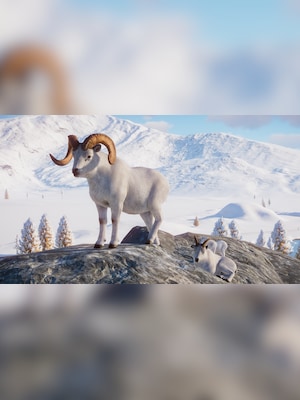 gallery-image-item-5