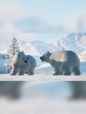 gallery-image-item-4