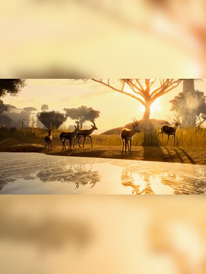 gallery-image-item-0