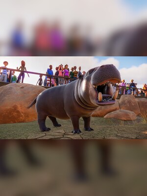 gallery-image-item-1