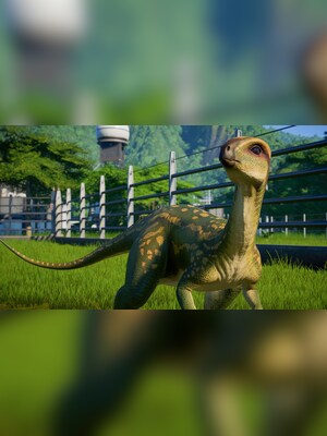 gallery-image-item-0