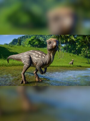 gallery-image-item-2