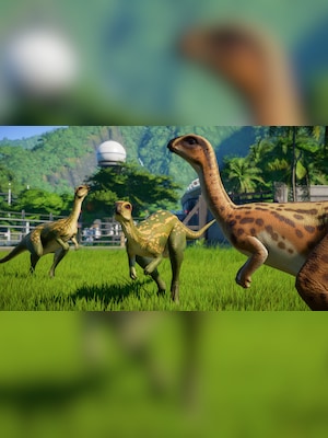 gallery-image-item-1