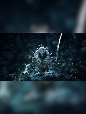 gallery-image-item-0