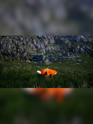 gallery-image-item-3