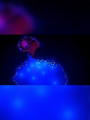 gallery-image-item-5