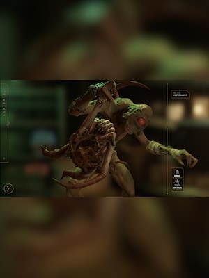 gallery-image-item-0