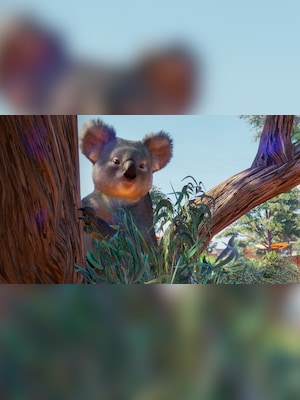 gallery-image-item-5