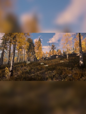 gallery-image-item-3