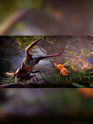 gallery-image-item-5