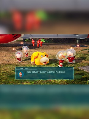 gallery-image-item-1