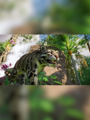 gallery-image-item-2