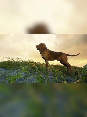 gallery-image-item-4