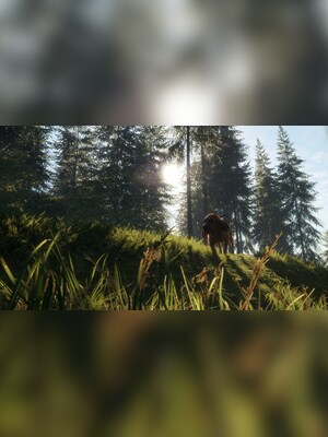 gallery-image-item-5