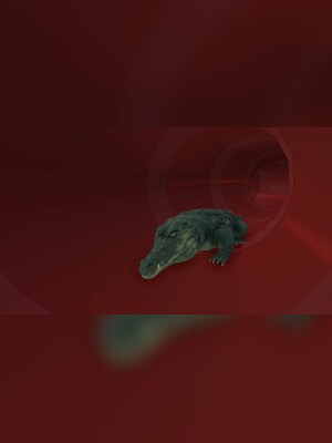 gallery-image-item-1