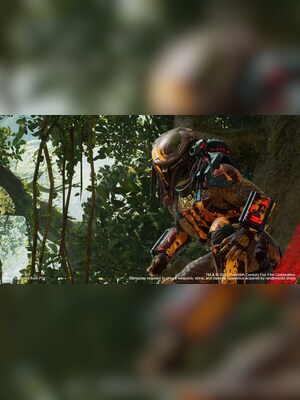 gallery-image-item-2