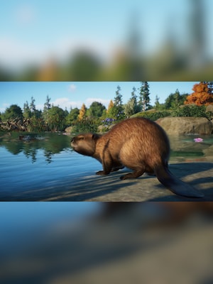 gallery-image-item-4