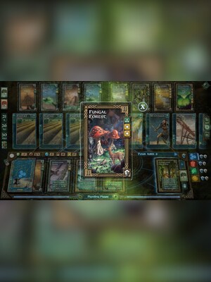 gallery-image-item-2