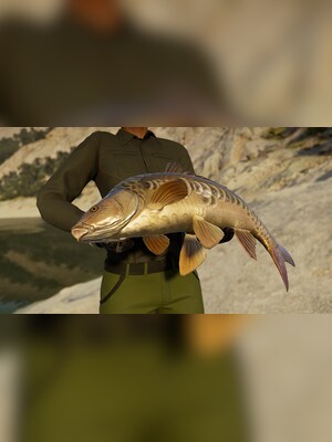 gallery-image-item-1