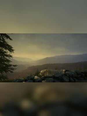 gallery-image-item-5