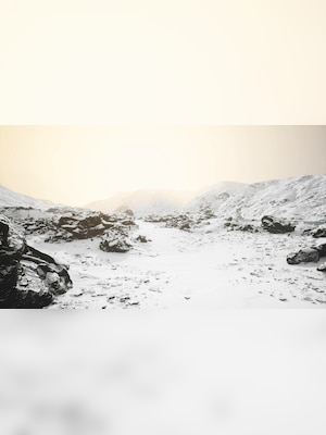 gallery-image-item-2