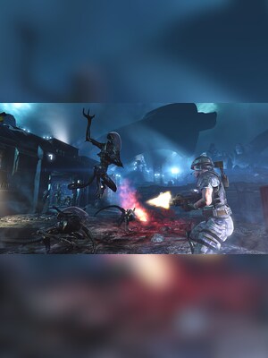 gallery-image-item-1