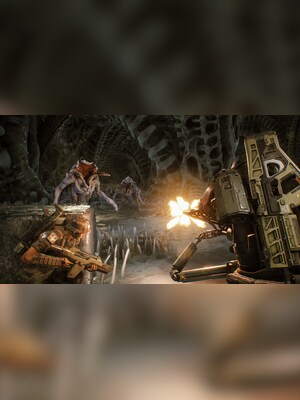 gallery-image-item-2
