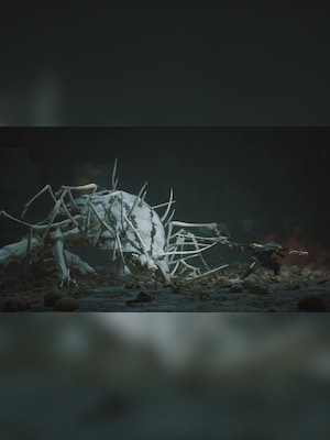 gallery-image-item-4