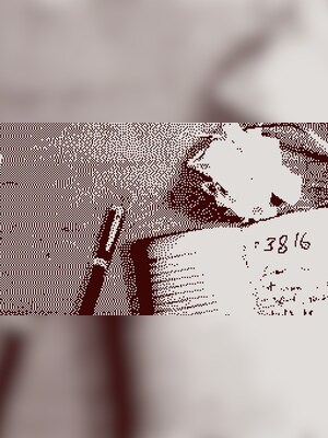 gallery-image-item-0