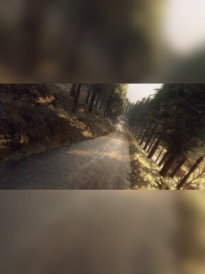 gallery-image-item-1