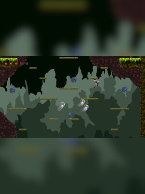 gallery-image-item-1