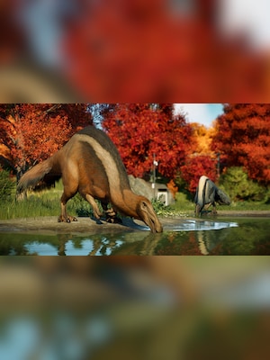 gallery-image-item-4