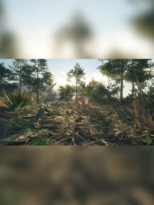 gallery-image-item-3