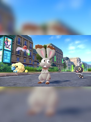 gallery-image-item-2