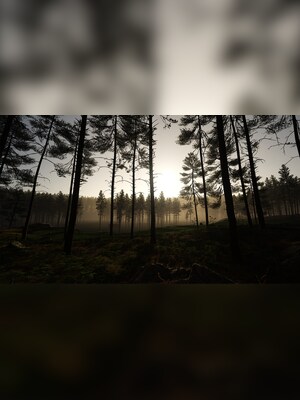 gallery-image-item-2