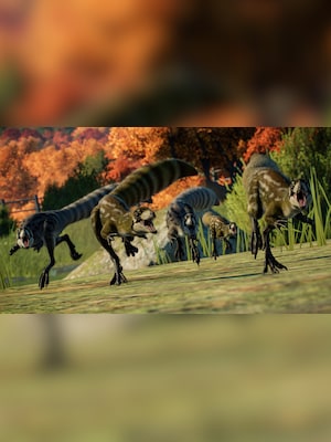 gallery-image-item-5