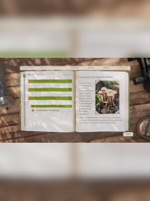 gallery-image-item-2